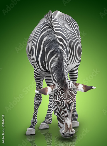 Board z aluminiowym obramowaniem Zebra