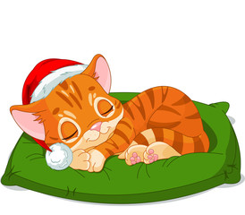 Canvas Print - Christmas Kitten Sleeping