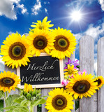Fototapeta  - Herzlch Willkommen :) Schiefertafel und Sonnenblumen