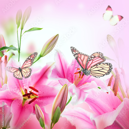 Fotoboard na płycie Wielobarwne lilie i motyl na ciemnym tle