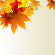 Осенний фон с цветными листьями
