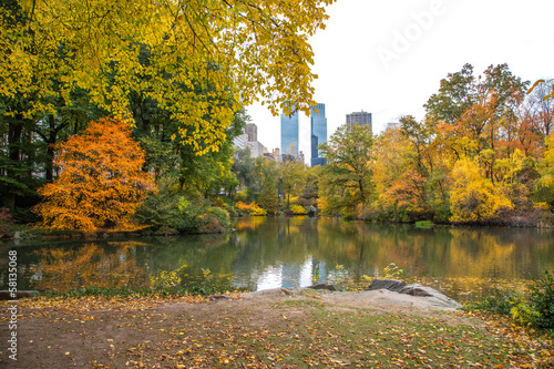 Tapeta ścienna Liści jesienią liści w Nowym Jorku Central Park