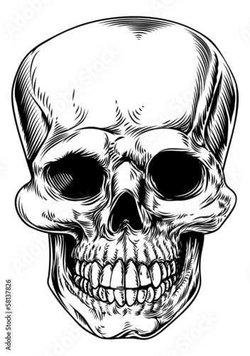 Vintage skull illustration