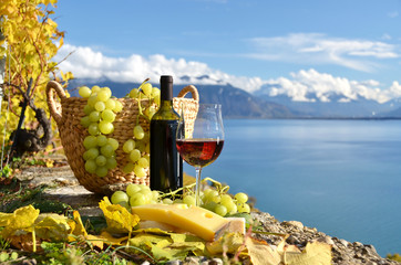 Red wine and grapes on the terrace of vineyard in Lavaux region,