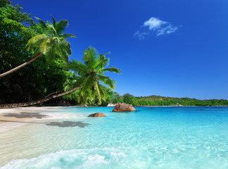 Fotobehang - beach at Praslin island, Seychelles