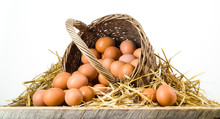 Chicken Eggs In Basket Isolated. Organic Food