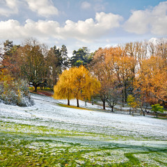 Fotomurales - Park in Autumn. The first snow.