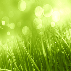 Sticker - grass background