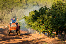 Agricultor Fumigando El Huerto Con Tractor