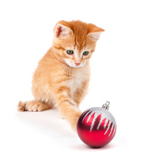 Wall Mural - Cute Orange Kitten Playing with a Christmas Ornament on White