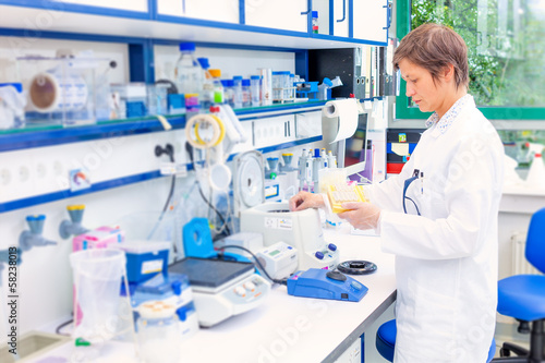 Fotografie, Obraz technician in the microbiology laboratory
