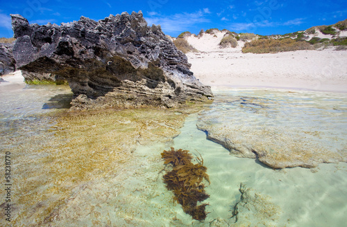 Naklejka samoprzylepna Rottnest island, west australia