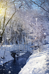 Beautiful winter landscape with the river