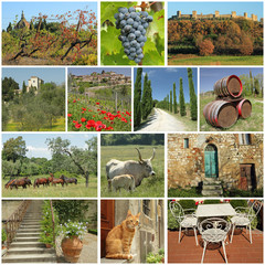 Wall Mural - fantastic tuscan countryside collage