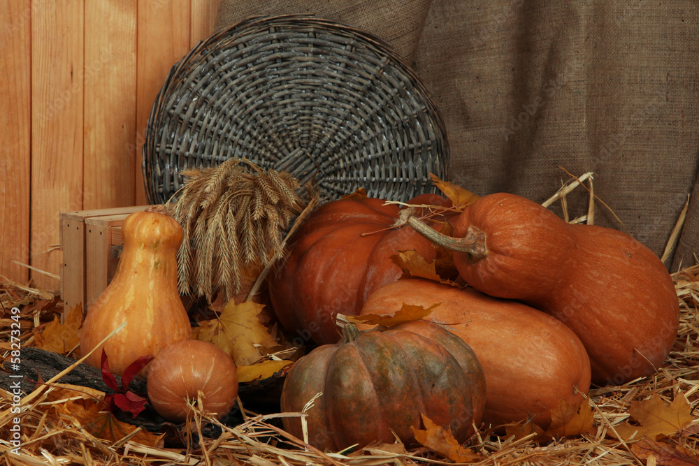 Pumpkins with wicker stand and crate