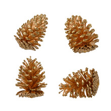 Gold Pine Cones On White