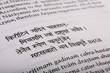 Close-up of text from the Bhagavad Gita