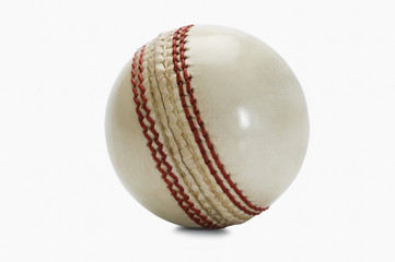 Wall Mural - Close-up of a cricket ball