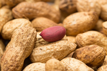 Background of peanuts. macro