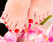 © Valua Vitaly - Beautiful female feet with red pedicure