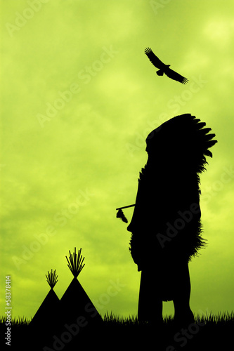 Fotoboard na płycie Native american indian