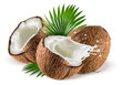Coconuts with milk splash and leaf on white background