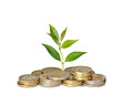 Sapling growing from coins