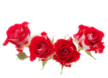 Red Rose Flower Bouquet Isolated On White Background Cutout