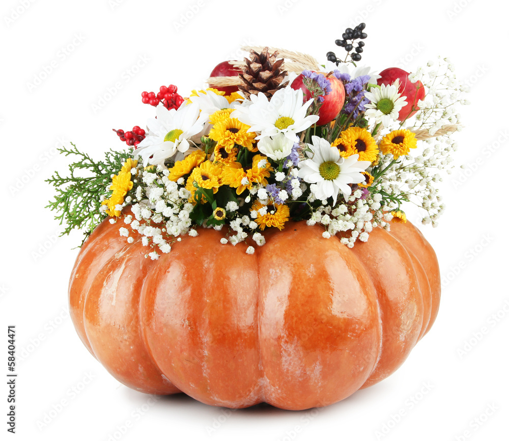 Beautiful autumn composition in pumpkin isolated on white
