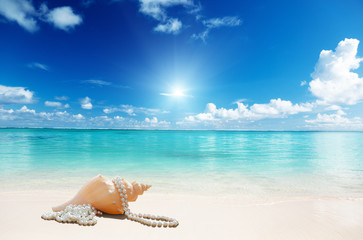 sea shells and perls on the beach