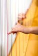 Male hands playing harp