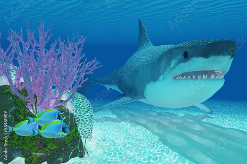 Obraz na płótnie canvas dwuczęściowy "dyptyk" Prehistoryczny rekin megalodonowy