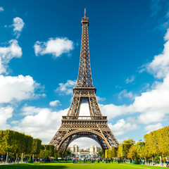 Fototapete - La Tour Eiffel