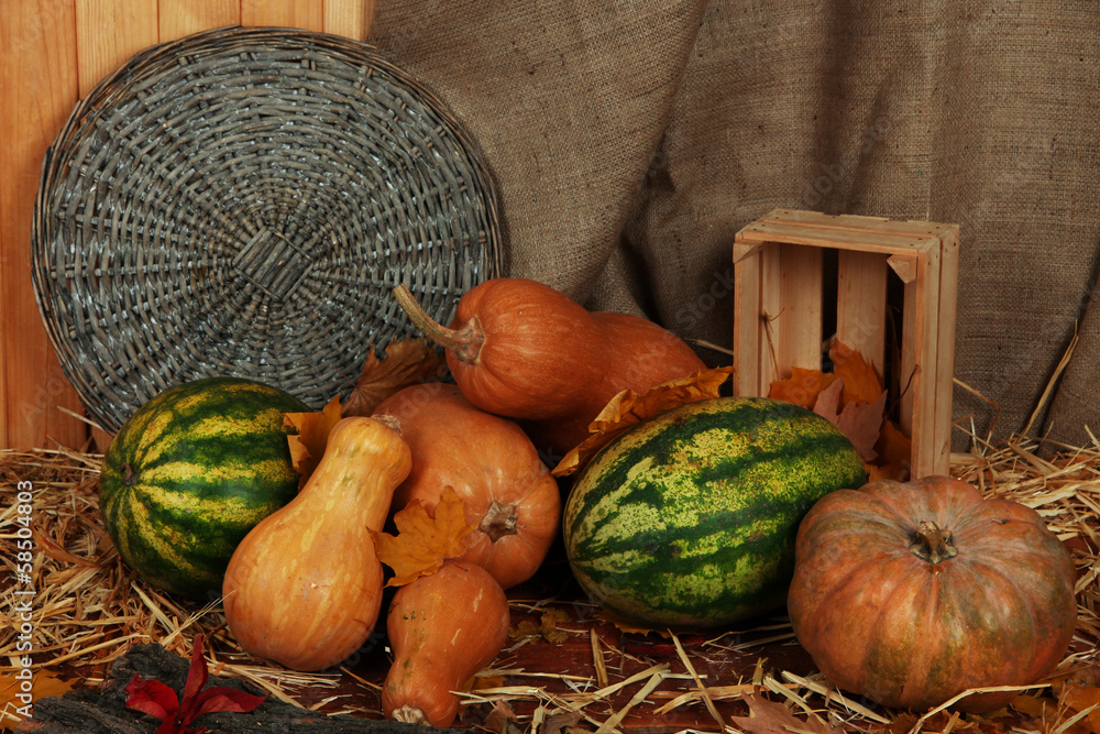 Pumpkins and watermelons with wicker stand and crate