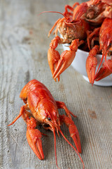 Wall Mural - Red boiled crayfish