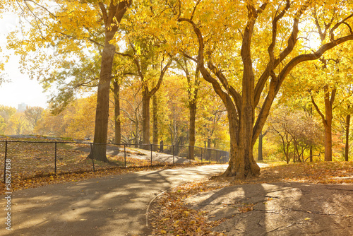 Tapeta ścienna Centralny park sceniczny jesienią, Nowy Jork