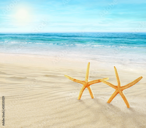 Obraz na płótnie canvas trzyczęściowy "tryptyk" Dwa rozgwiazdy na plaży