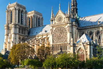 Wall Mural - Nice view of Cathedral of Notre Dame de Paris in summer, France