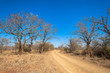 Wildlife Dirt Road Terrain Landscape
