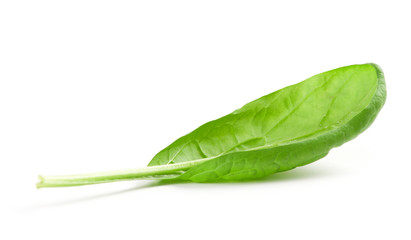 Wall Mural - Spinach leaf