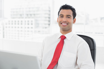 Wall Mural - Smiling young businessman with laptop at office