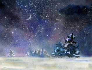 Wall Mural - Night rural landscape at winter