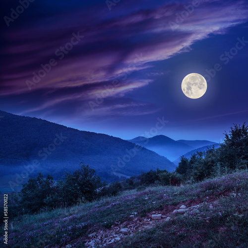 Obraz księżyc  las-na-stromym-zboczu-gory-z-ksiezycem