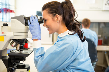 Wall Mural - Scientist Using Microscope In Laboratory