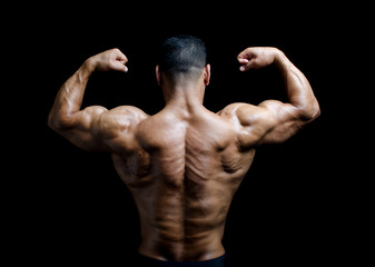back, shoulders and arms of muscular bodybuilder