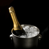 Fototapeta Panele - bottle of champagne in an ice bucket on a black background