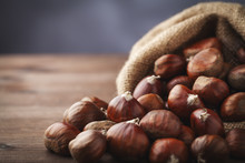Chestnuts Free Stock Photo - Public Domain Pictures