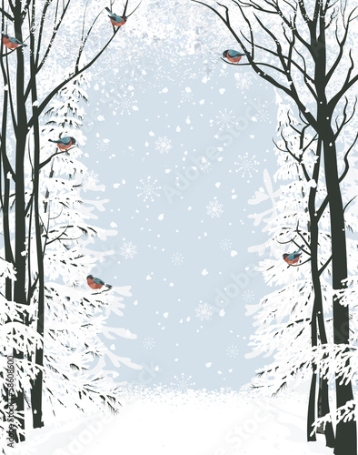 zimowa-kompozycja-kadru-z-drzewami-po-bokach