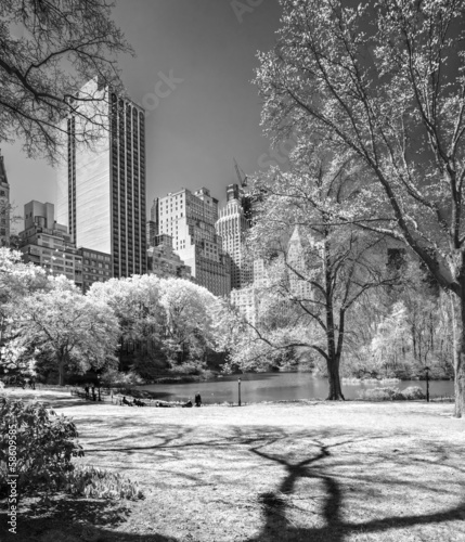 Naklejka samoprzylepna Central Park, New York City. 