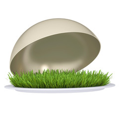 Wall Mural - green grass on a plate with a lid